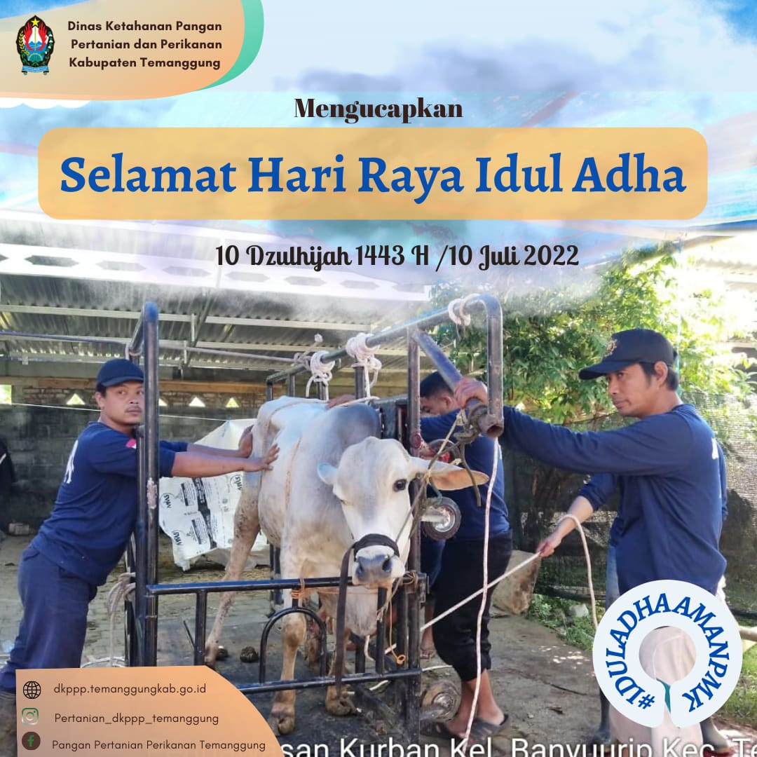 Selamat Hari Raya Idul Adha 1443 H